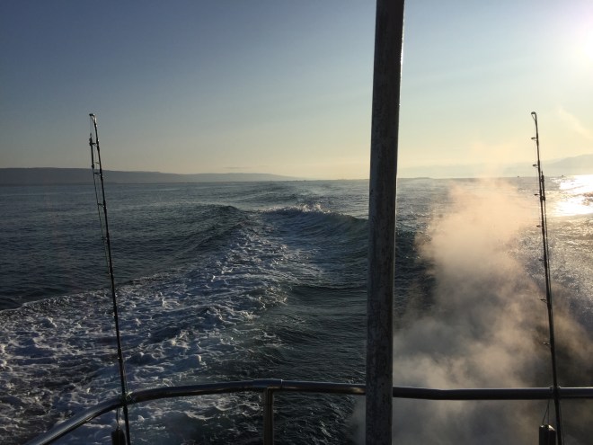 58576156311__670F2DA1-5201-4D2F-8CCE-F72A22BC298A