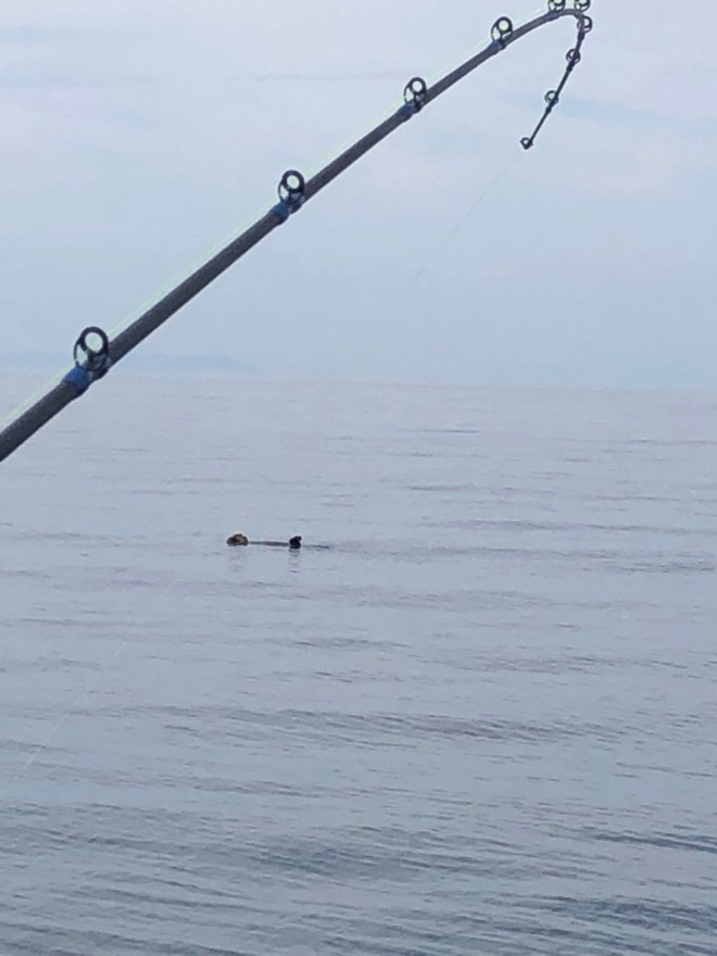 cOKApQwLR5S%TqGfeWq4bw