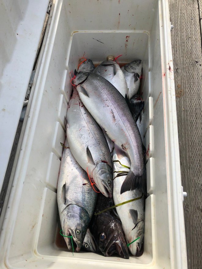 +gRL0FYhRiygIiPPc8vCFQ