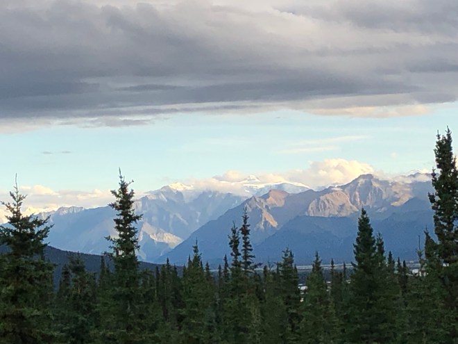 ncukyvRJSgmpYIUq2jujFg