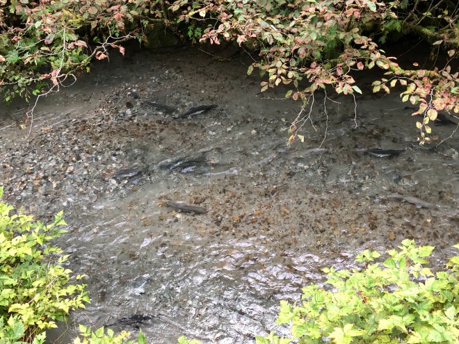 oodvxES7Tb+7sAtL6UcyEg