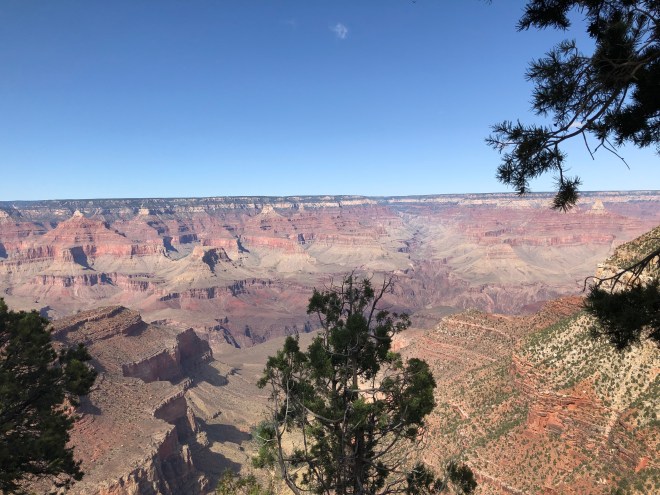 59105465603__24D7740C-D9DD-48CC-95BB-3C988B98CD9B