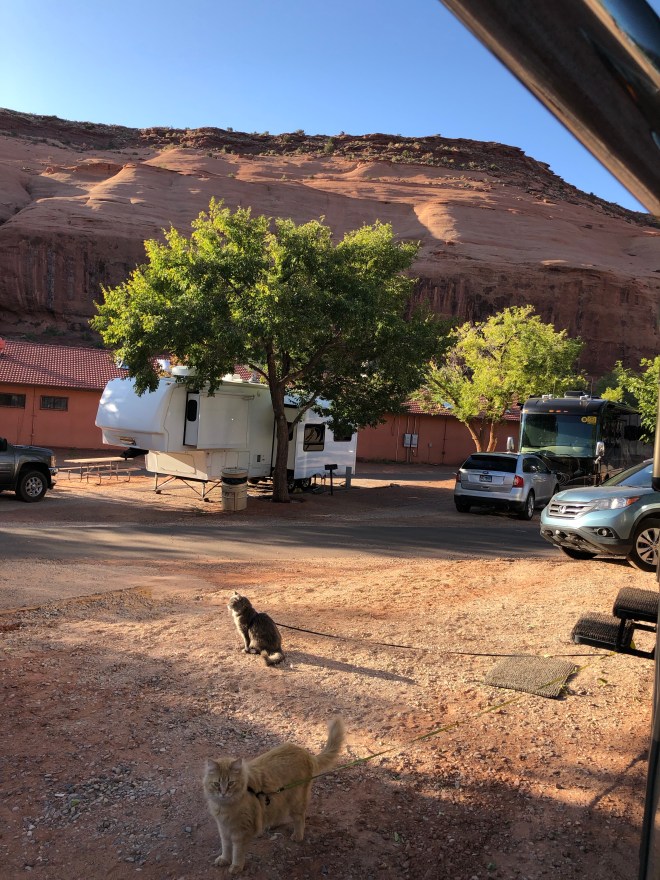 LKYDF4BQQmySlwx09HGRZg