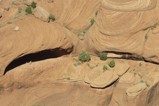 0CD021C1-56A4-40CC-8915-31679E938532