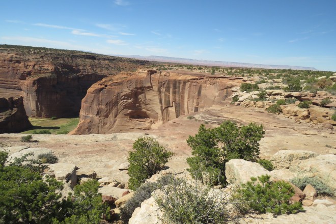 2B9E0C26-8D9B-417E-BA8E-7F6C3B531D76