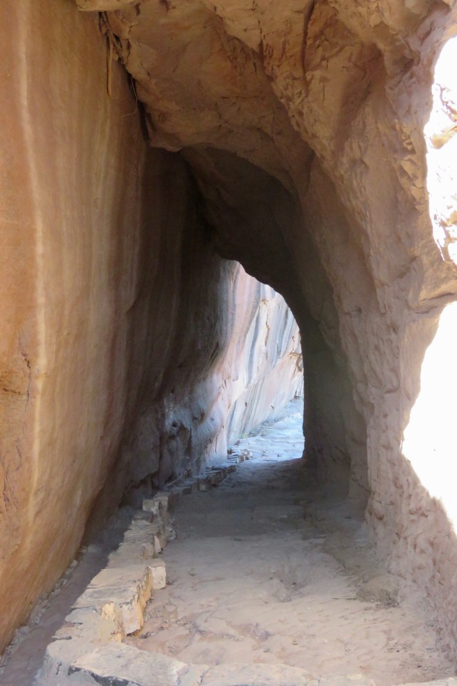 2BD518CC-AFF2-4399-8353-67C91D19F140_1_201_a