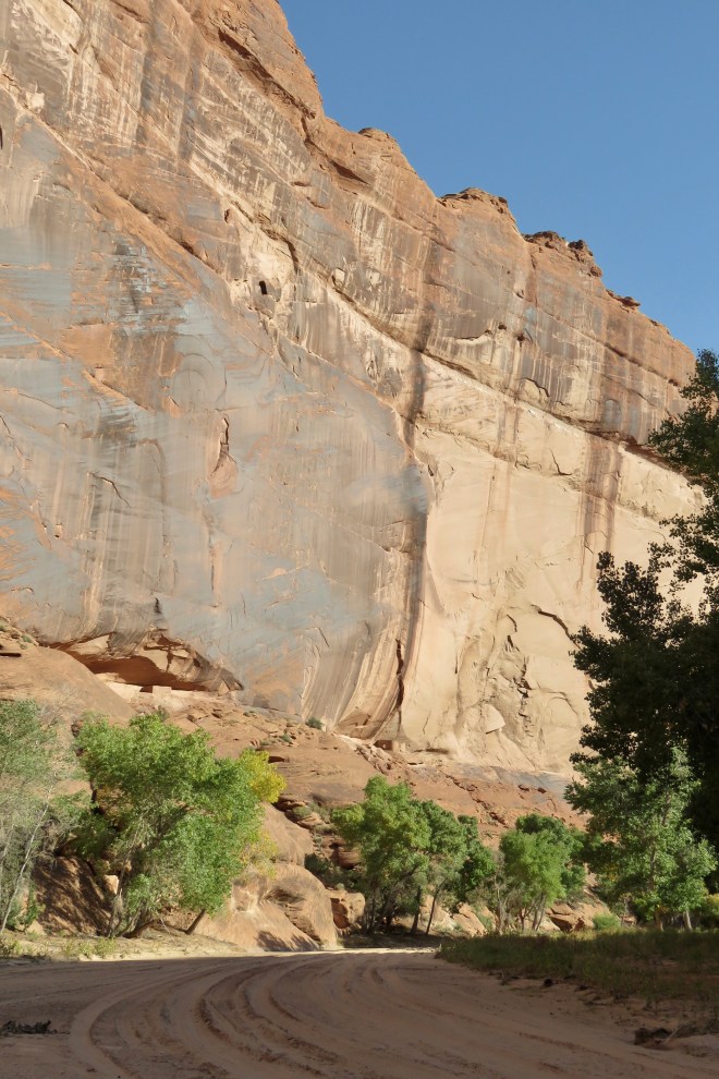 3A5C13B5-9DF2-49A7-9C41-4400D7DA4377_1_201_a