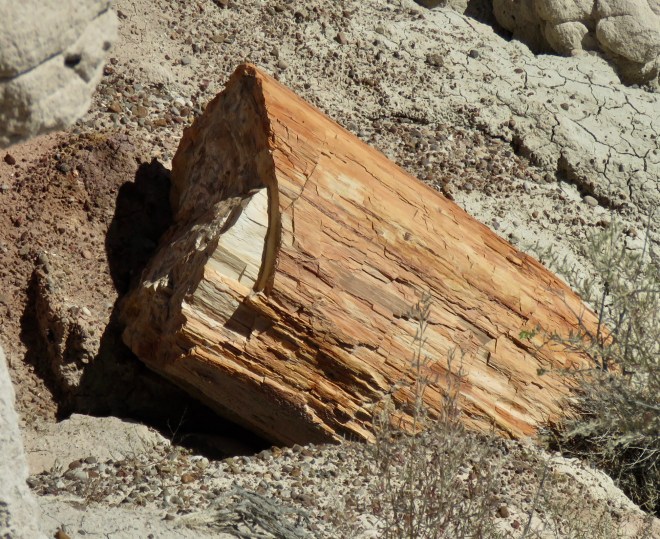 3FF8A3A2-C910-4D90-AD6B-E0217F4CE500_1_201_a