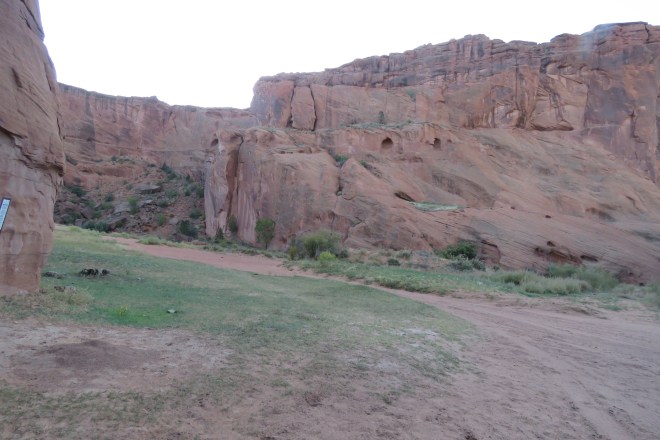 49104563-943B-4963-8CD5-AF7748752D76