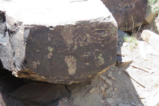 5A031CBF-C5ED-4684-8477-868F57E1AB56