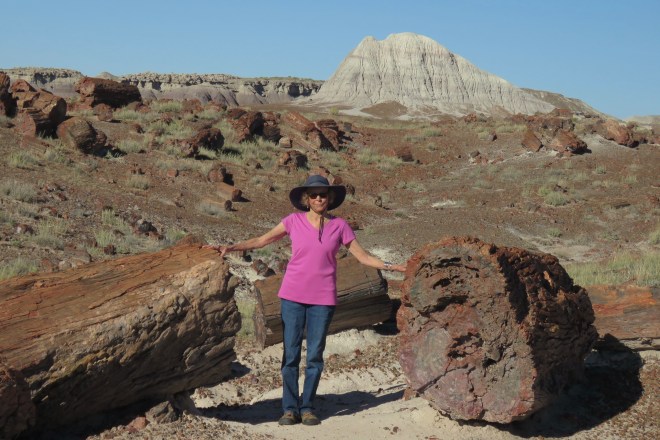 6E7C4147-D22D-455D-B63C-E300145D5778_1_201_a