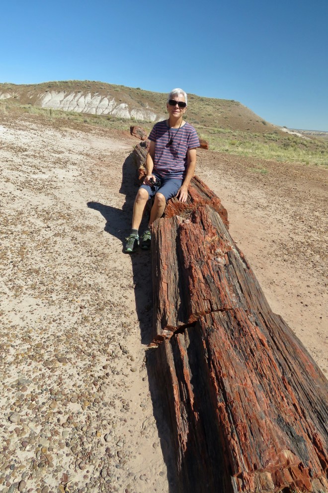 73284C04-7E7C-4F76-AAF1-917E9F26D0DE_1_201_a