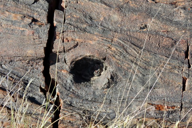 74472505-AE0B-4014-9376-C562B68BFA04_1_201_a