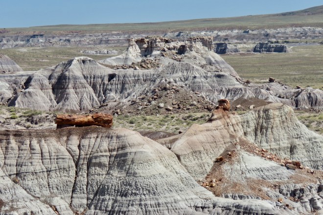 774FF78A-3C3D-4E3D-AA84-ED89941B2D3B_1_201_a