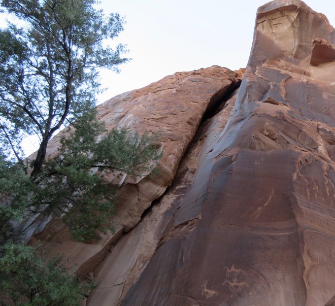 7A6BF1F5-1D5F-461E-88F1-2C17978F9E7F_1_201_a