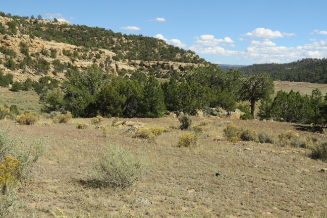 8046447C-769E-4B67-AF2E-AD90D319AC39