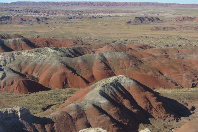 892EB4E6-58B1-463D-8ABB-9236B3F824C5