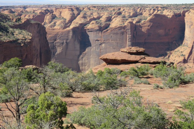 9B8A2569-1E58-4FAD-B0A4-C9DAEC99D731