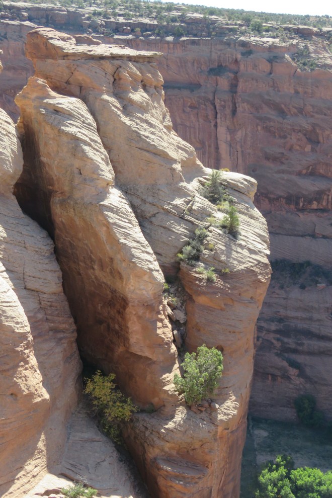 C883F4B9-D981-4686-8890-9A25D4DB750E