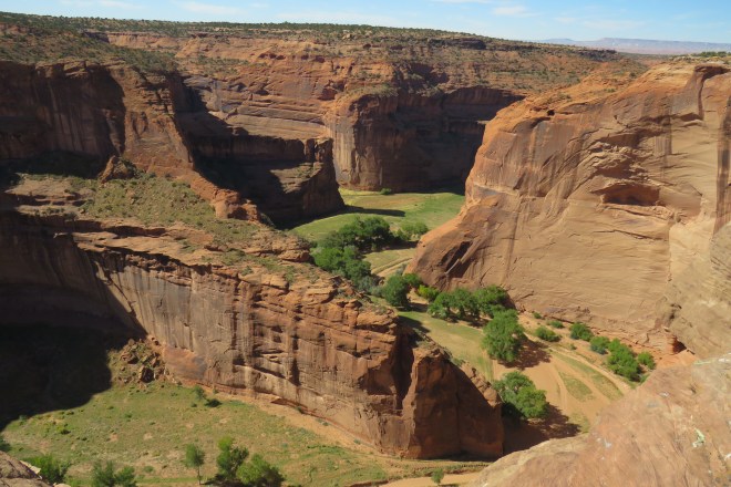 D02B316D-3145-42B9-BCD3-4899251BD4FF