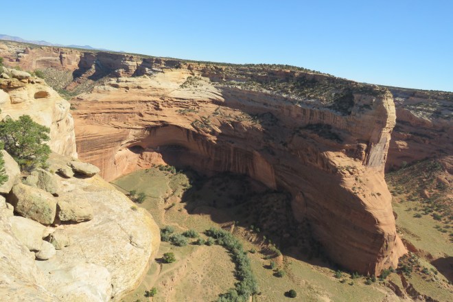 E700E41A-52D6-435B-89B6-85A6DA0E4E40