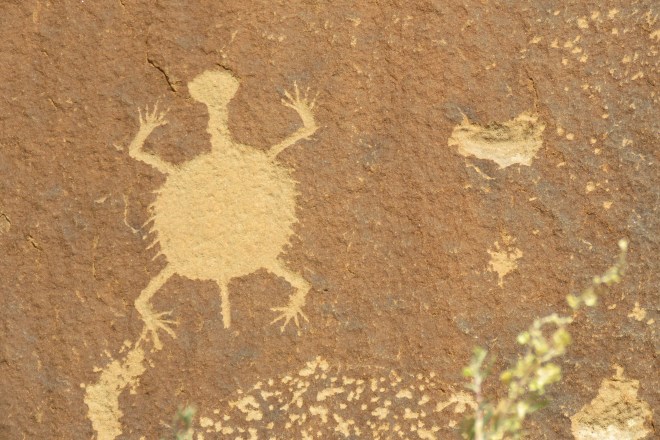 EEDC4976-0D15-4595-8E54-41398D1DF002