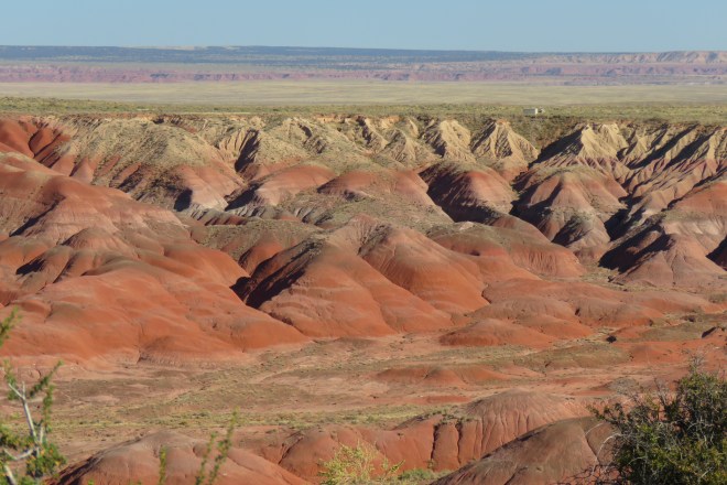 F7D6C93D-C1E3-47B7-B326-21E367B241FF